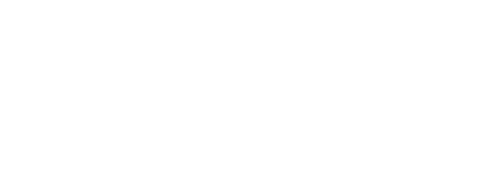 light logo
